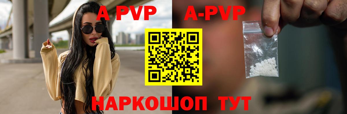 Альфа ПВП СК Киров