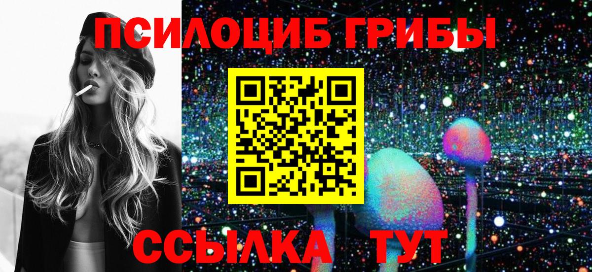 Галлюциногенные грибы Psilocybine cubensis  Вход с VPN  купить наркотики цена  Киров 